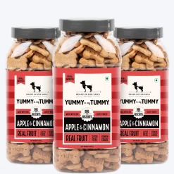 HUFT Yummy In My Tummy Apple & Cinnamon Vegetarian Gluten Free Dog Biscuit