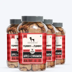 HUFT Yummy In My Tummy Apple & Cinnamon Vegetarian Gluten Free Dog Biscuit