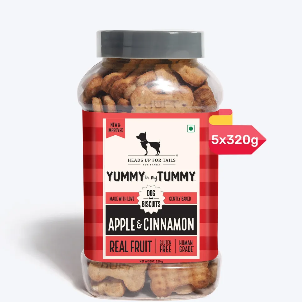 HUFT Yummy In My Tummy Apple & Cinnamon Vegetarian Gluten Free Dog Biscuit
