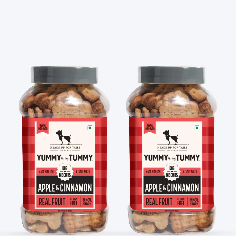HUFT Yummy In My Tummy Apple & Cinnamon Vegetarian Gluten Free Dog Biscuit