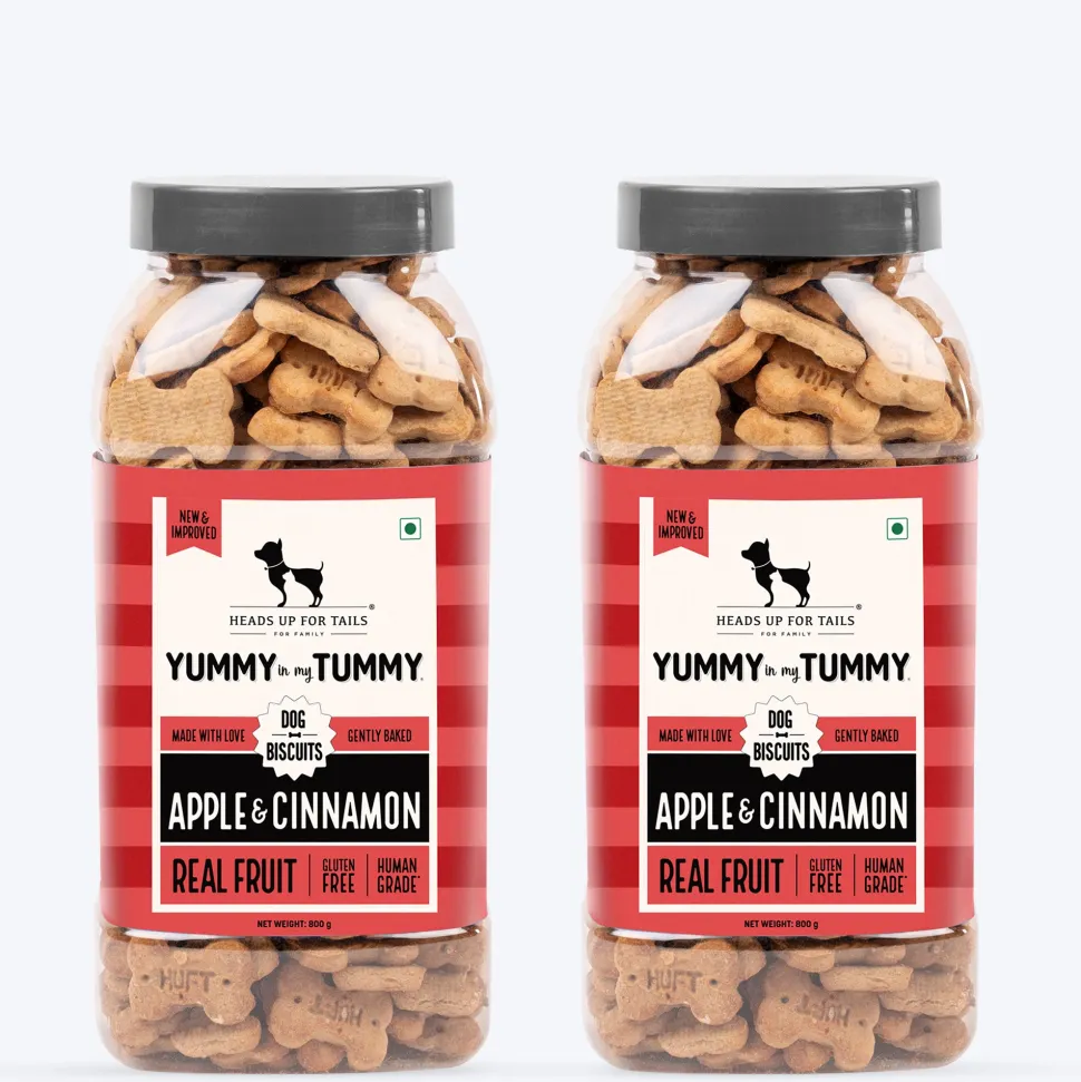 HUFT Yummy In My Tummy Apple & Cinnamon Vegetarian Gluten Free Dog Biscuit