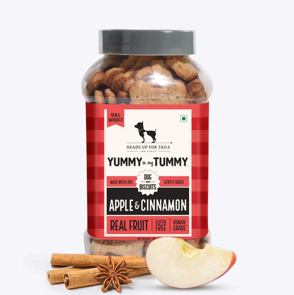 HUFT Yummy In My Tummy Apple & Cinnamon Vegetarian Gluten Free Dog Biscuit