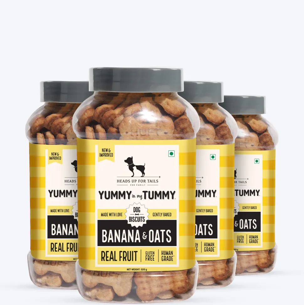 HUFT Yummy In My Tummy Banana & Oats Gluten-Free Biscuits - 320 gm
