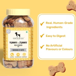 HUFT Yummy In My Tummy Banana & Oats Vegetarian Dog Biscuits - 800 gm