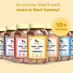 HUFT Yummy In My Tummy Banana & Oats Vegetarian Dog Biscuits - 800 gm