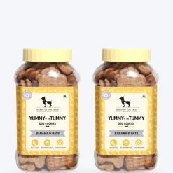 HUFT Yummy In My Tummy Banana & Oats Vegetarian Dog Biscuits - 800 gm