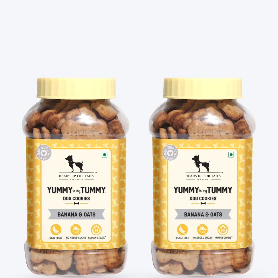 HUFT Yummy In My Tummy Banana & Oats Vegetarian Dog Biscuits - 800 gm
