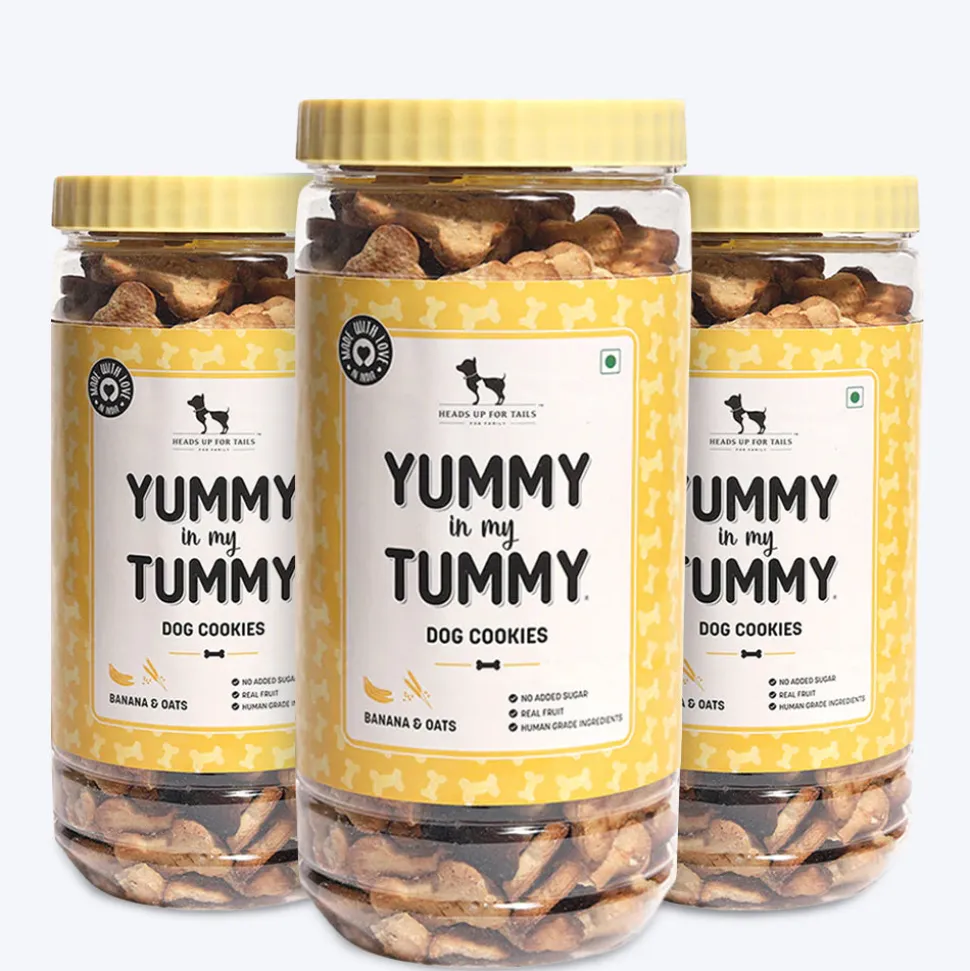HUFT Yummy In My Tummy Banana & Oats Vegetarian Dog Biscuits - 800 gm