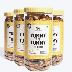 HUFT Yummy In My Tummy Banana & Oats Vegetarian Dog Biscuits - 800 gm