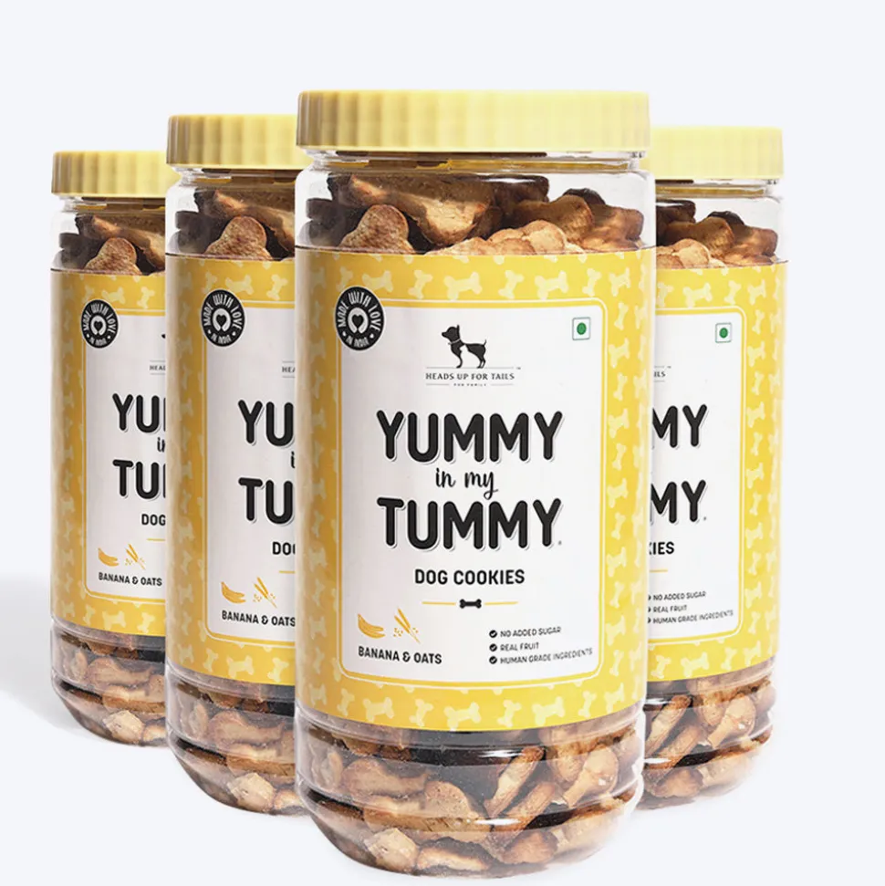 HUFT Yummy In My Tummy Banana & Oats Vegetarian Dog Biscuits - 800 gm