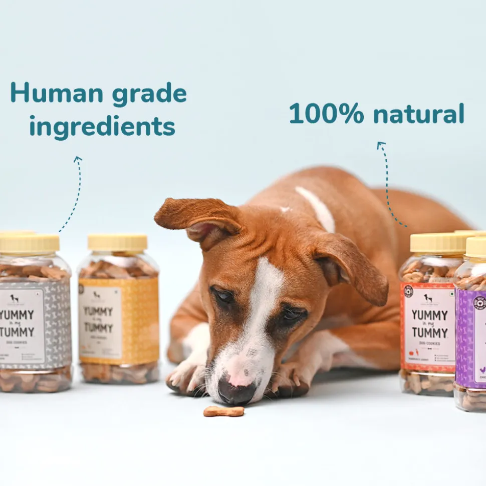 HUFT Yummy In My Tummy Banana & Oats Vegetarian Dog Biscuits - 800 gm