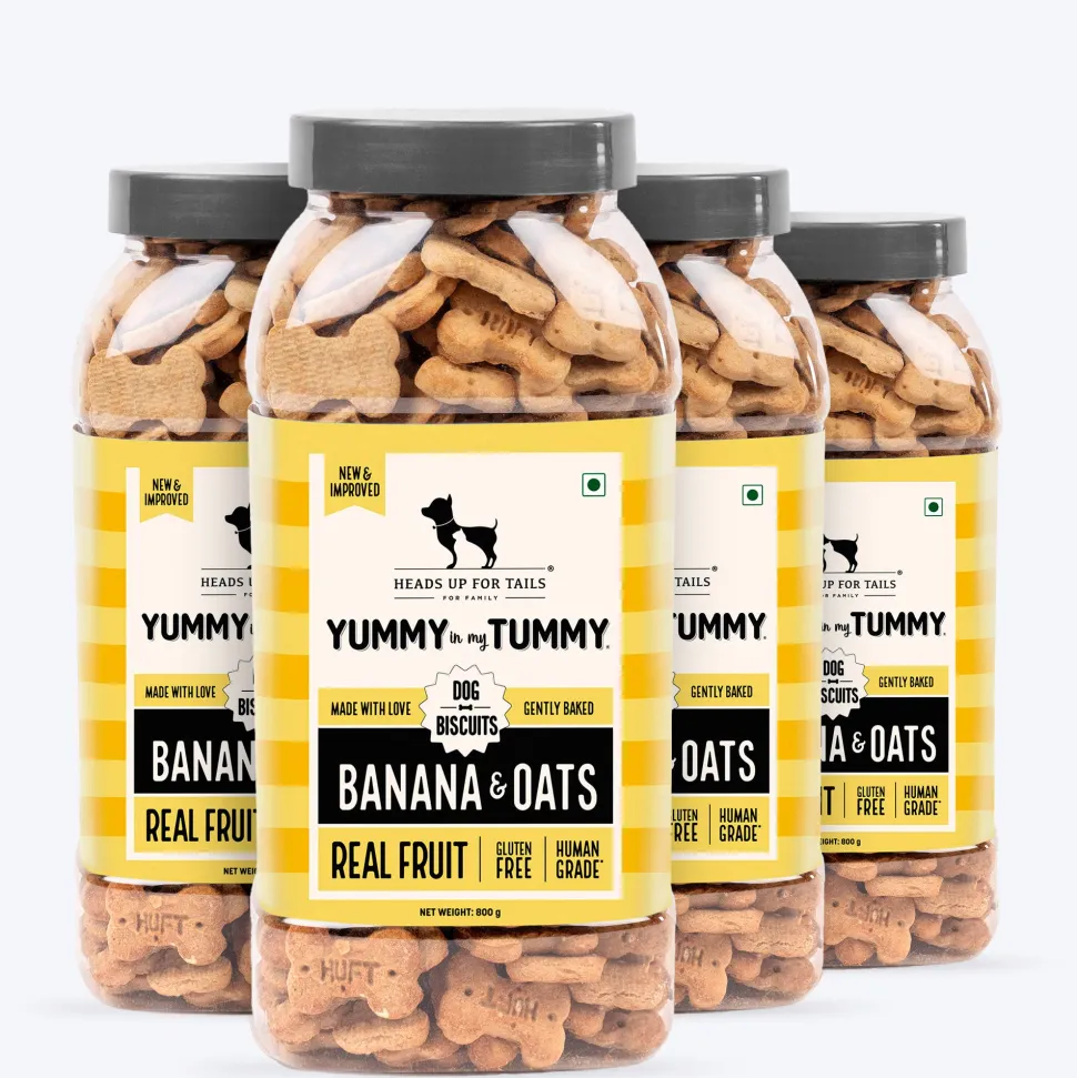 HUFT Yummy In My Tummy Banana & Oats Gluten-Free Biscuits - 800 gm (Best Before September'26