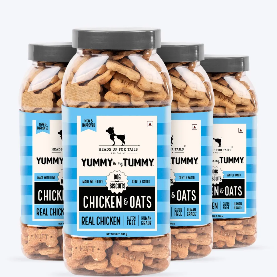 HUFT Yummy In My Tummy Chicken & Oats Gluten-Free Biscuits