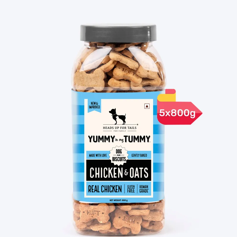 HUFT Yummy In My Tummy Chicken & Oats Gluten-Free Biscuits