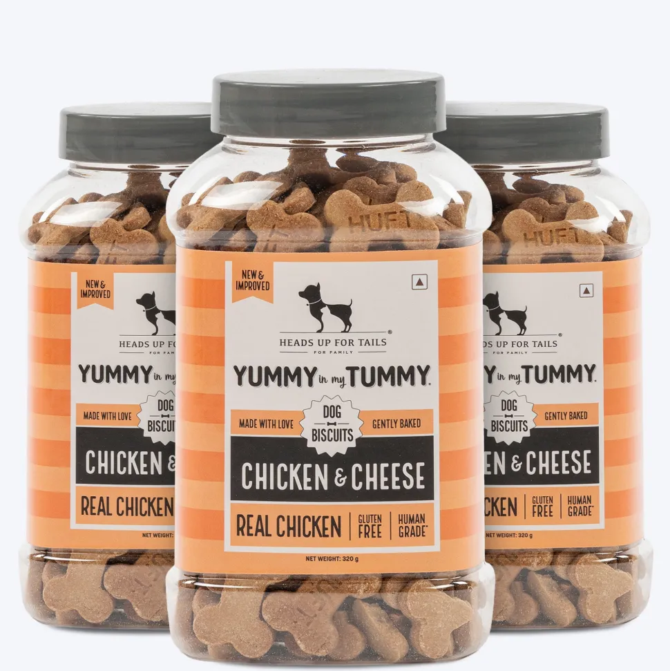 HUFT Yummy In My Tummy Chicken & Cheese Gluten-Free Biscuits