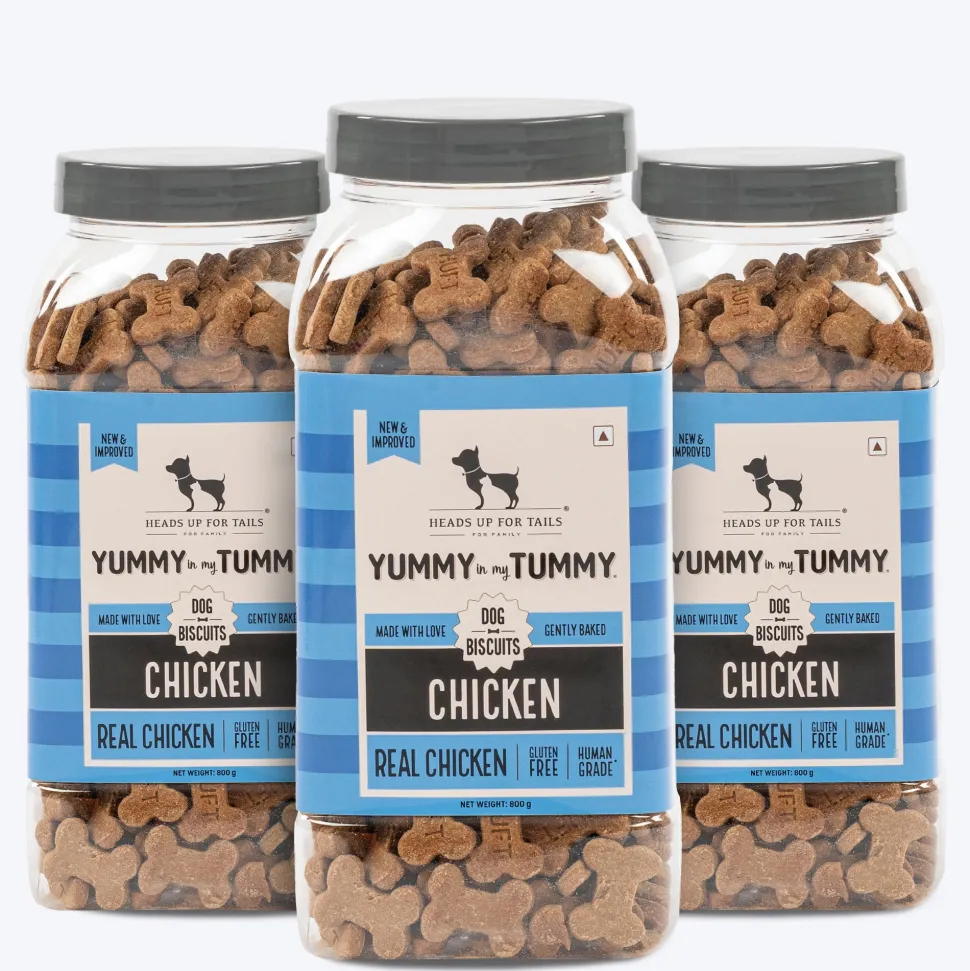 HUFT Yummy In My Tummy Chicken Gluten-Free Dog Biscuits