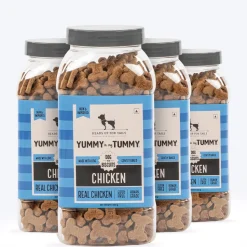 HUFT Yummy In My Tummy Chicken Gluten-Free Dog Biscuits