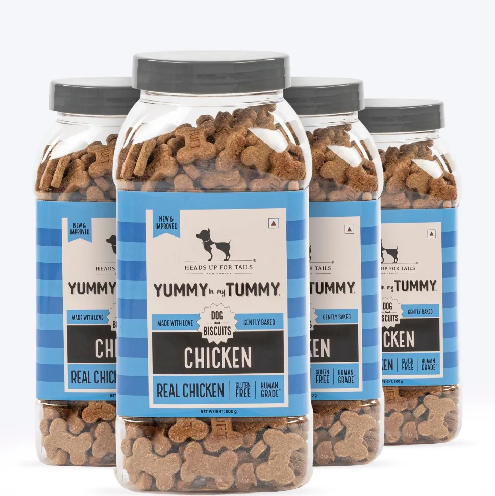 HUFT Yummy In My Tummy Chicken Gluten-Free Dog Biscuits