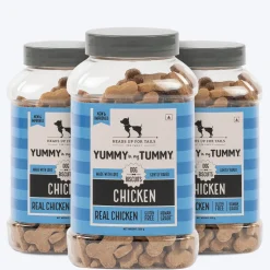 HUFT Yummy In My Tummy Chicken Gluten-Free Dog Biscuits