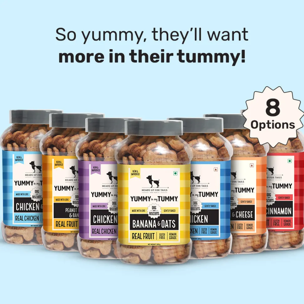 HUFT Yummy In My Tummy Chicken Gluten-Free Dog Biscuits