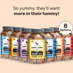 HUFT Yummy In My Tummy Chicken & Cheese Gluten-Free Biscuits - 800 gm (Best Before August'26)
