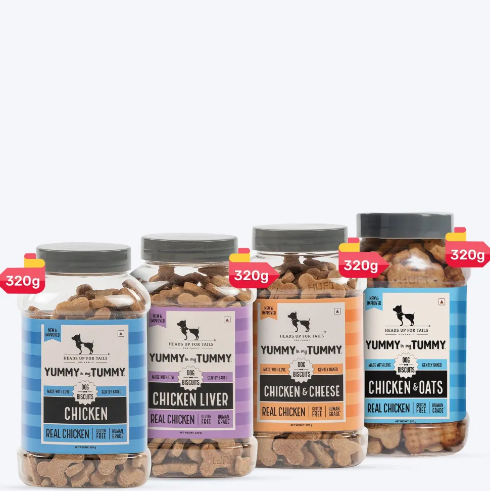 HUFT Yummy In My Tummy Gluten Free Chicken Dog Biscuits Combo - 320 g Each