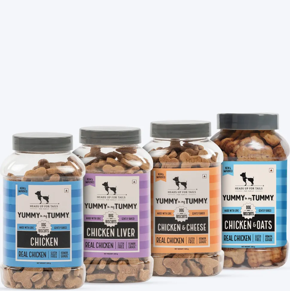 HUFT Yummy In My Tummy Gluten Free Chicken Dog Biscuits Combo - 320 g Each