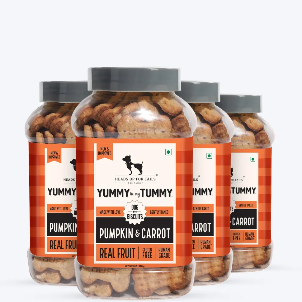 HUFT Yummy In My Tummy Pumpkin & Carrot Veggie Biscuits