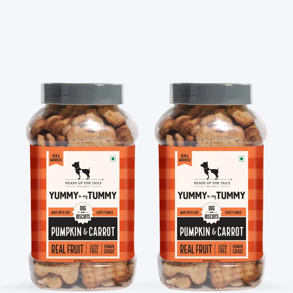 HUFT Yummy In My Tummy Pumpkin & Carrot Veggie Biscuits