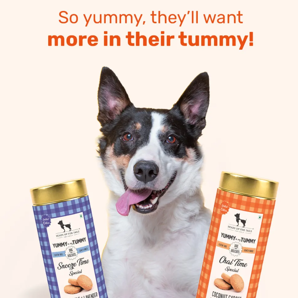HUFT Yummy In My Tummy Snooze Time & Chai Time Gluten Free Dog Biscuits Combo - Pack of 2 (200 gm x 2)