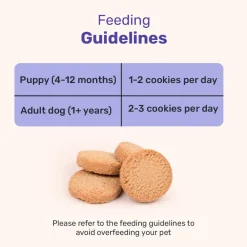 HUFT Yummy In My Tummy Snooze Time & Chai Time Gluten Free Dog Biscuits Combo - Pack of 2 (200 gm x 2)
