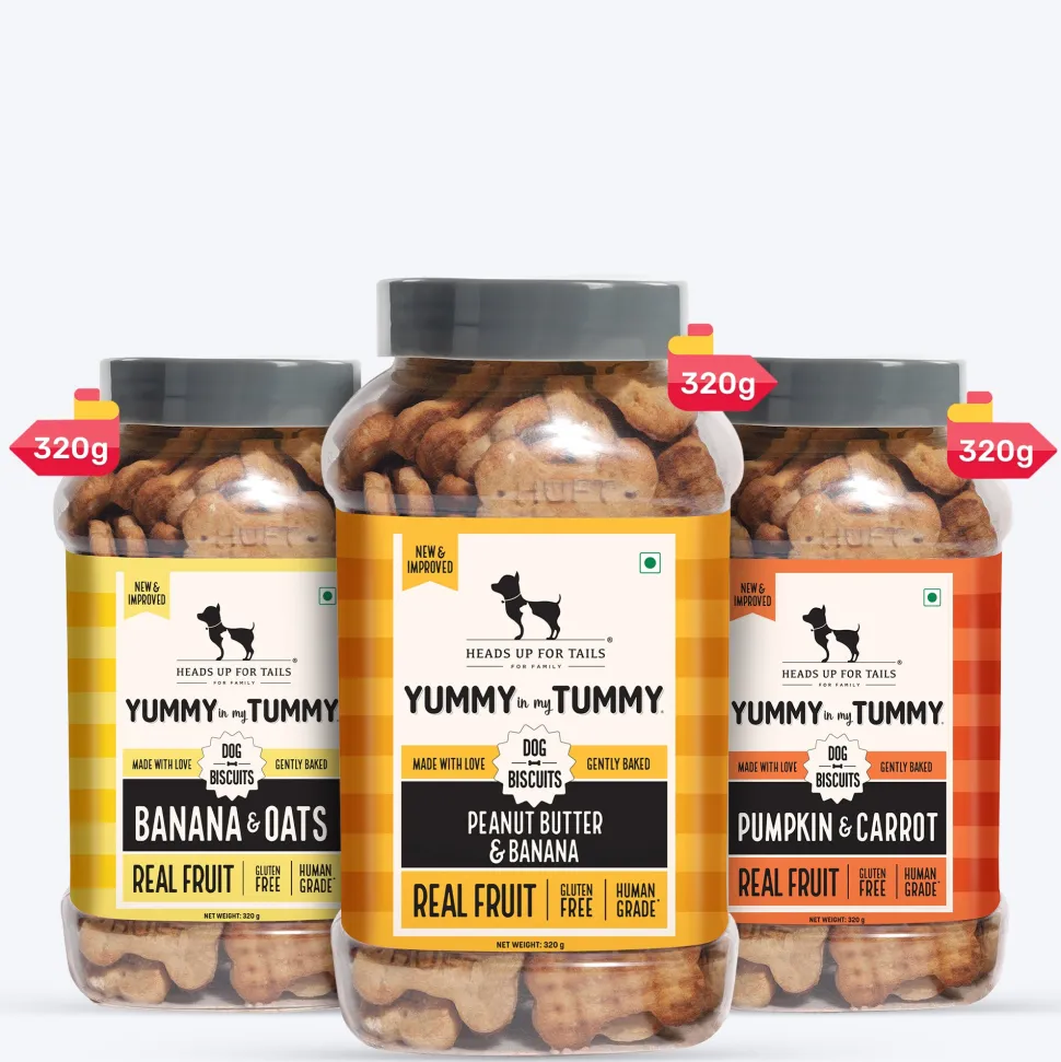 HUFT Yummy In My Tummy Vegetarian Gluten Free Dog Biscuits Combo - Pumpkin & Carrots, Peanut Butter & Banana, Banana & Oats - Pack of 3 (320 gm x 3)