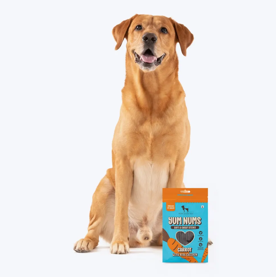 HUFT Yum Nums Dog Treats Soft & Chewy Sticks Carrot With Real Chicken
