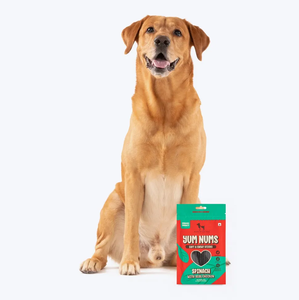 HUFT Yum Nums Dog Treats Soft & Chewy Sticks Spinach With Real Chicken - 70 gm