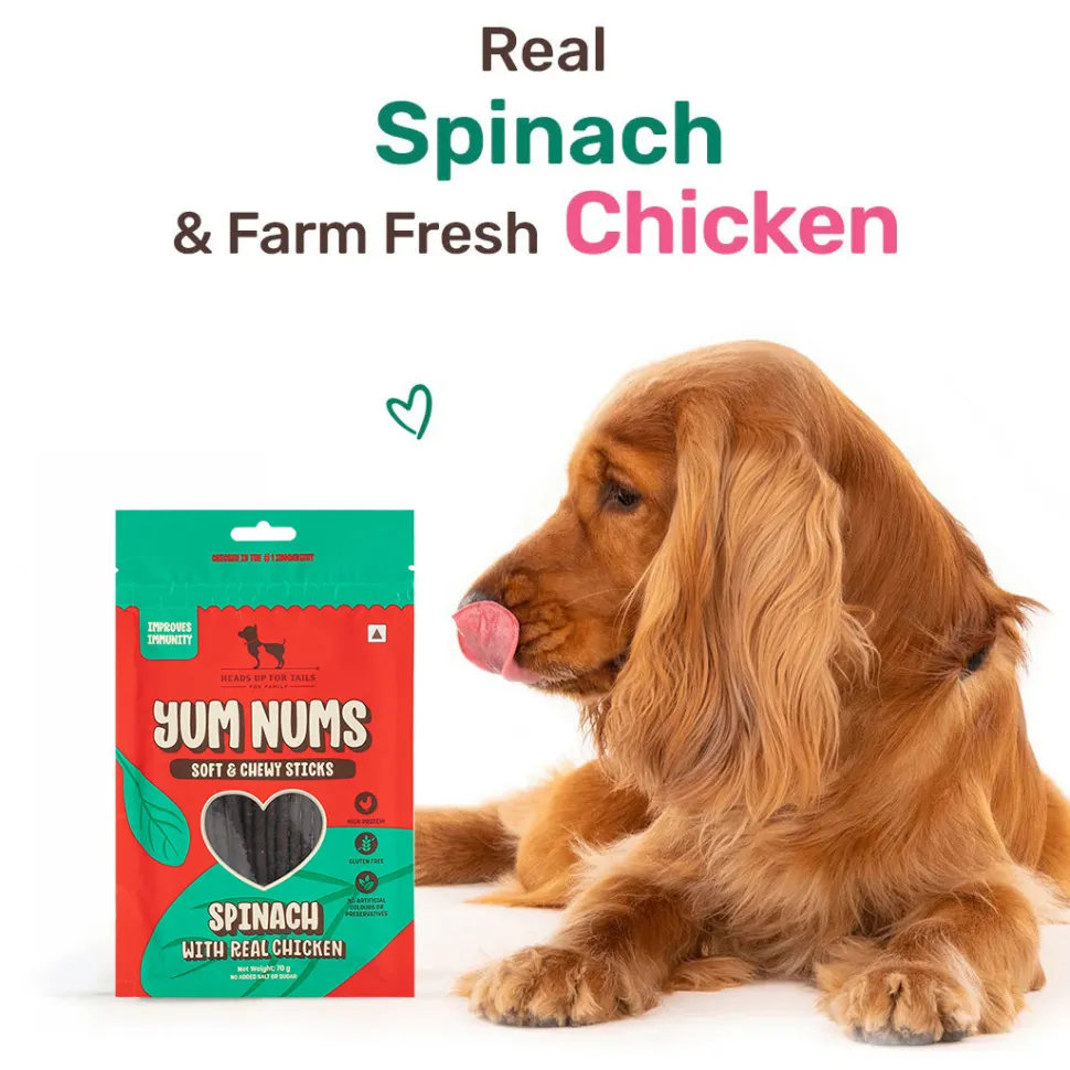HUFT Yum Nums Dog Treats Soft & Chewy Sticks Spinach With Real Chicken - 70 gm