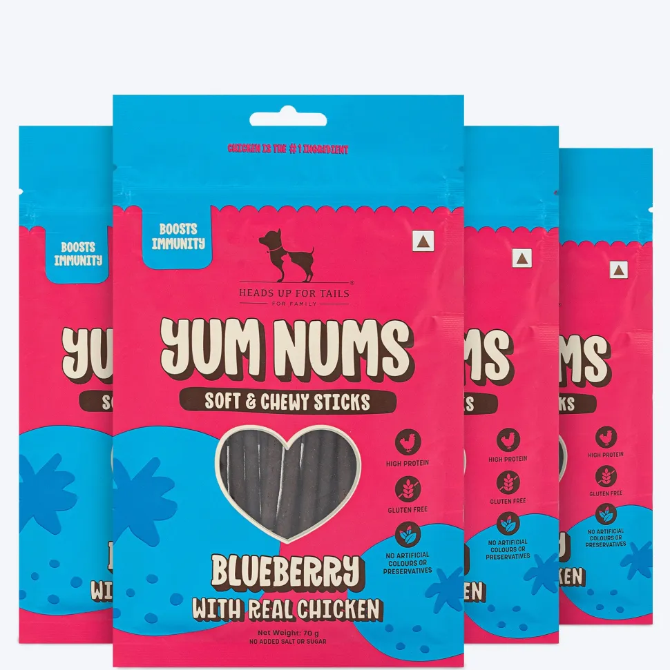 HUFT Yum Nums Dog Treats Soft & Chewy Sticks Blueberry With Real Chicken - 70 gm