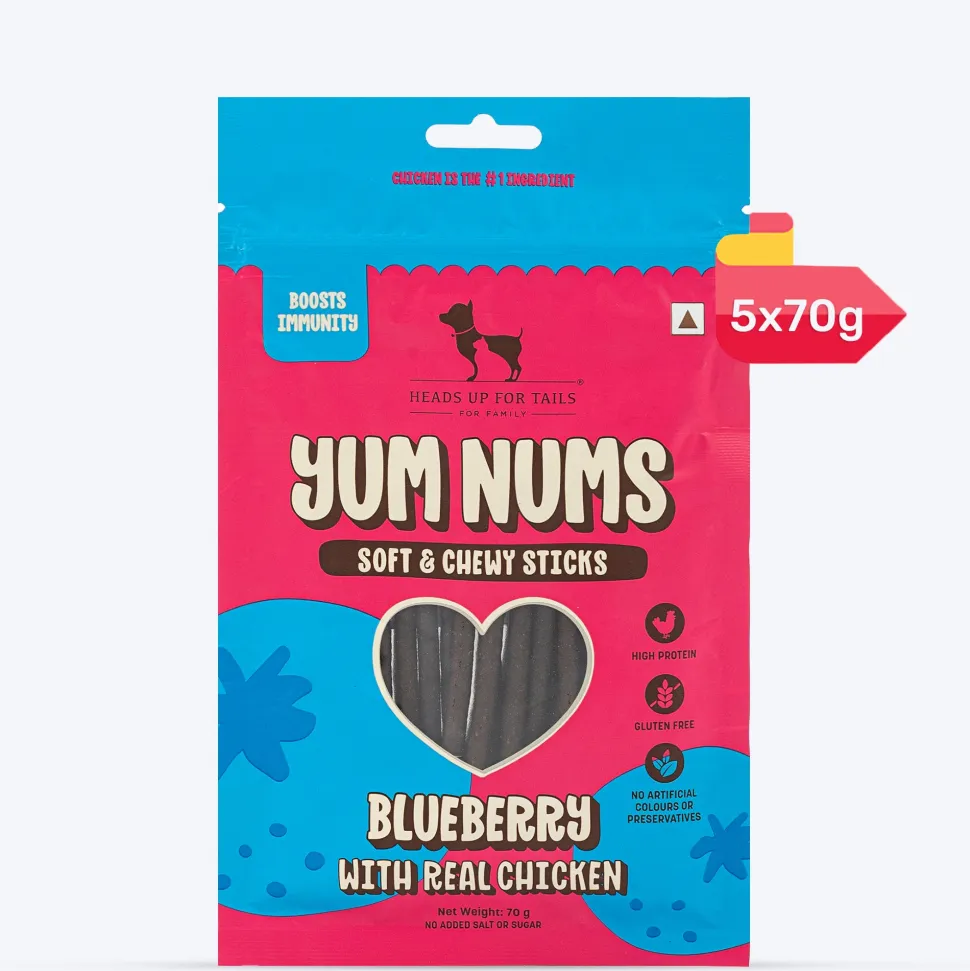 HUFT Yum Nums Dog Treats Soft & Chewy Sticks Blueberry With Real Chicken - 70 gm