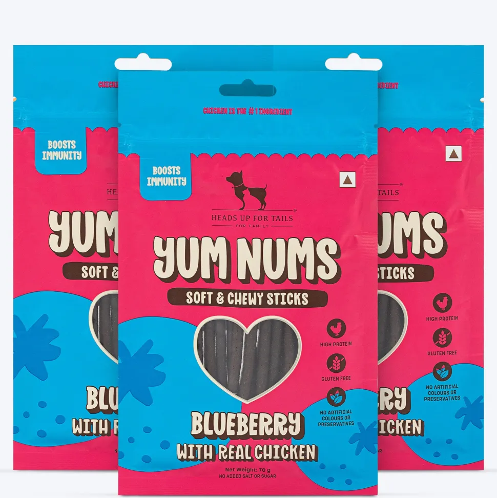 HUFT Yum Nums Dog Treats Soft & Chewy Sticks Blueberry With Real Chicken - 70 gm