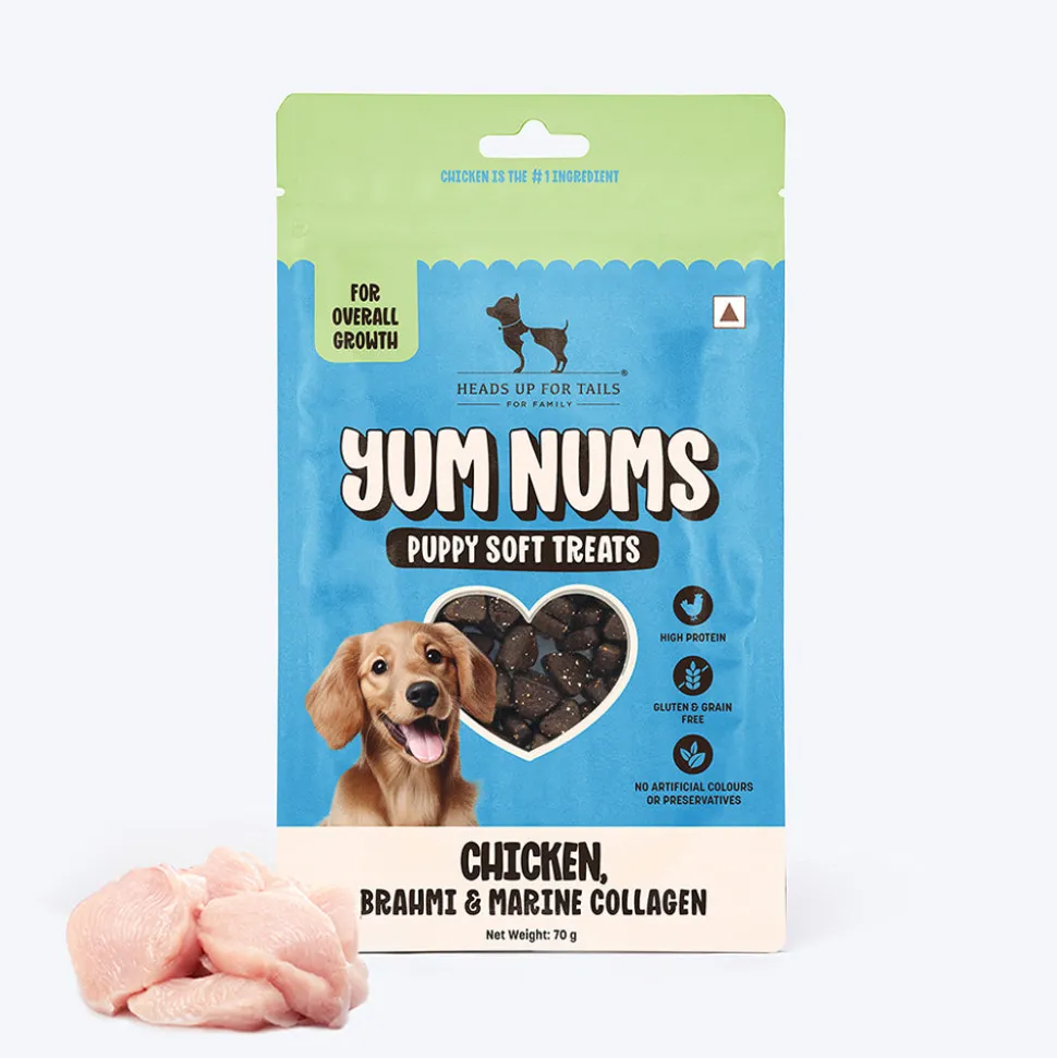 HUFT Yum Nums Soft & Chewy Puppy Treats - Chicken, Brahmi & Marine Collagen- 70 gm