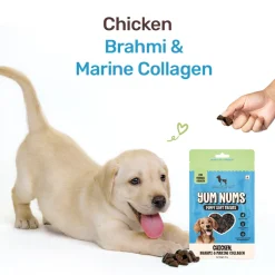HUFT Yum Nums Soft & Chewy Puppy Treats - Chicken, Brahmi & Marine Collagen- 70 gm