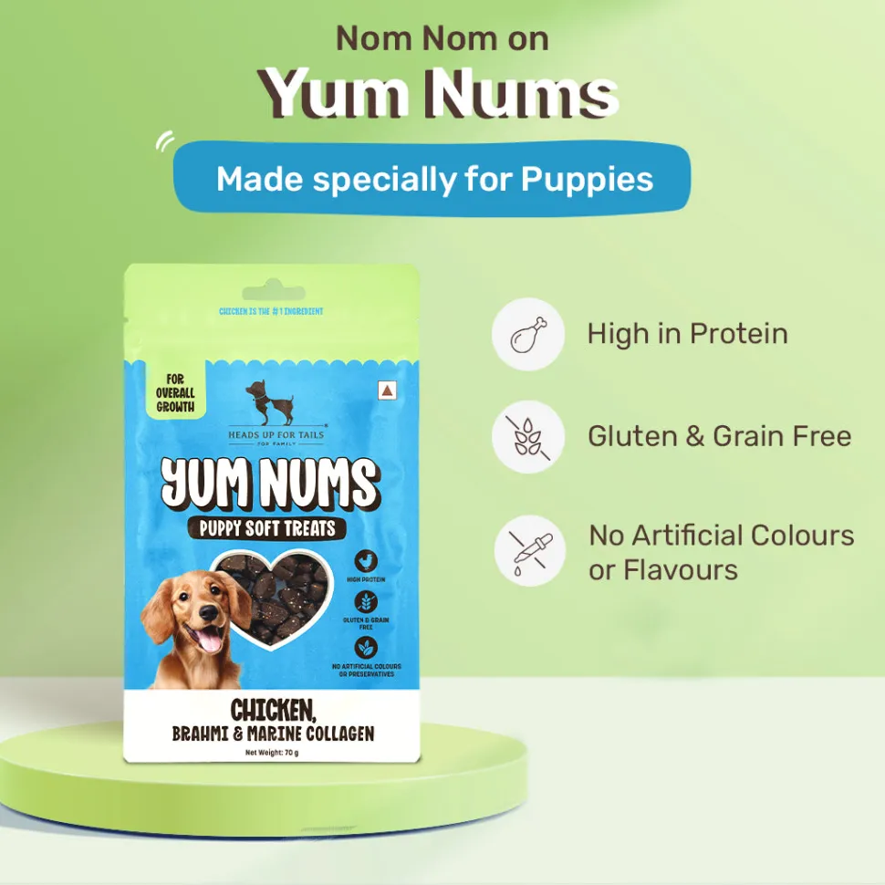 HUFT Yum Nums Soft & Chewy Puppy Treats - Chicken, Brahmi & Marine Collagen- 70 gm