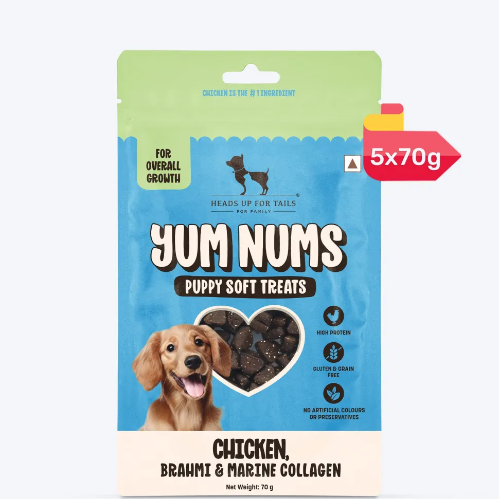 HUFT Yum Nums Soft & Chewy Puppy Treats - Chicken, Brahmi & Marine Collagen- 70 gm