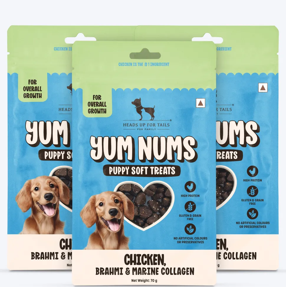 HUFT Yum Nums Soft & Chewy Puppy Treats - Chicken, Brahmi & Marine Collagen- 70 gm