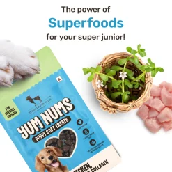HUFT Yum Nums Soft & Chewy Puppy Treats - Chicken, Brahmi & Marine Collagen- 70 gm