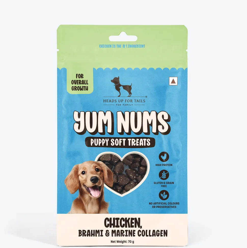 HUFT Yum Nums Soft & Chewy Puppy Treats - Chicken, Brahmi & Marine Collagen- 70 gm