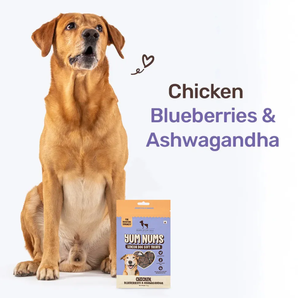 HUFT Yum Nums Soft & Chewy Senior Dog Treats - Chicken, Blueberries & Ashwagandha - 70 gm