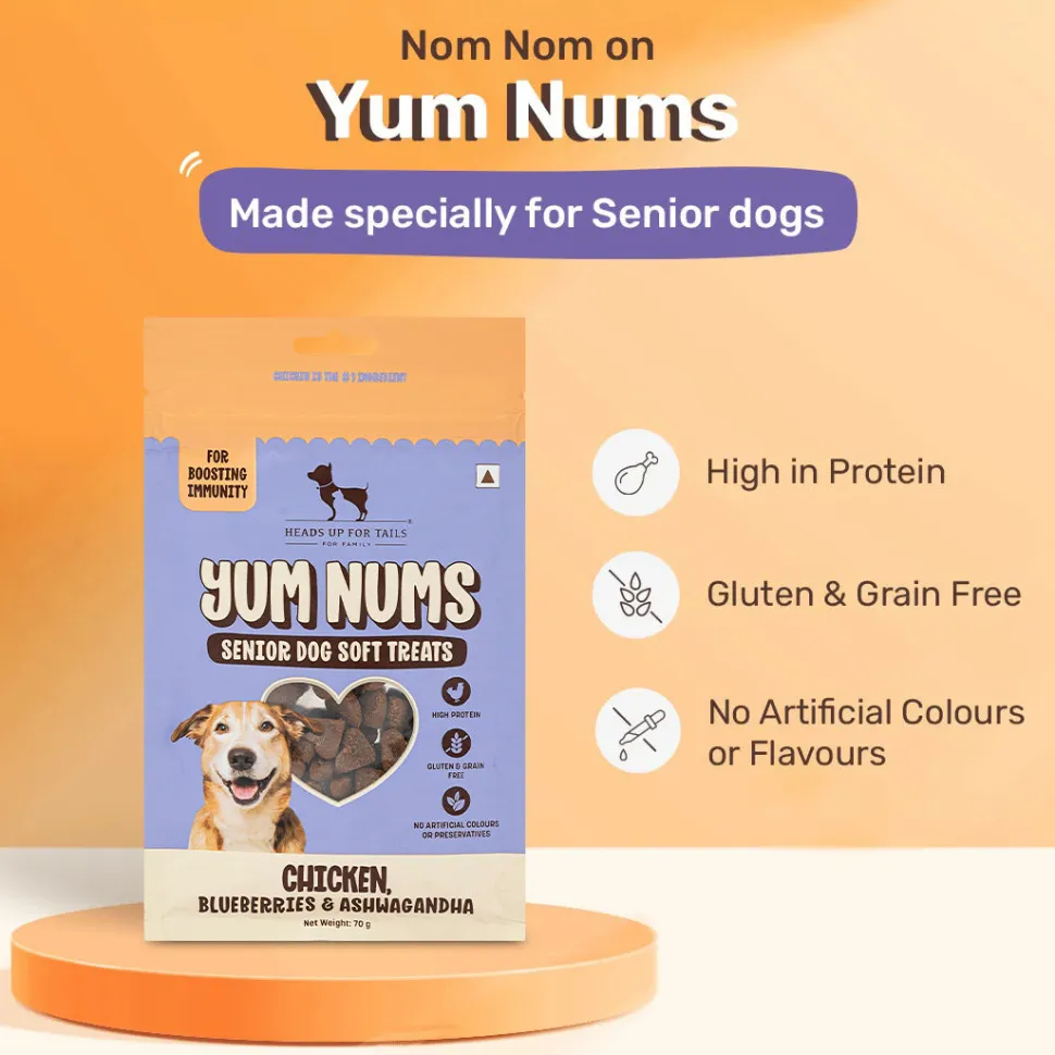 HUFT Yum Nums Soft & Chewy Senior Dog Treats - Chicken, Blueberries & Ashwagandha - 70 gm
