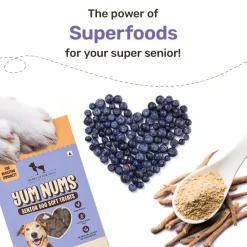 HUFT Yum Nums Soft & Chewy Senior Dog Treats - Chicken, Blueberries & Ashwagandha - 70 gm