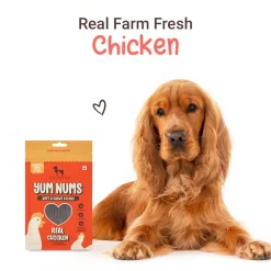 HUFT Yum Nums Soft & Chewy Sticks Real Chicken Treat For Dogs
