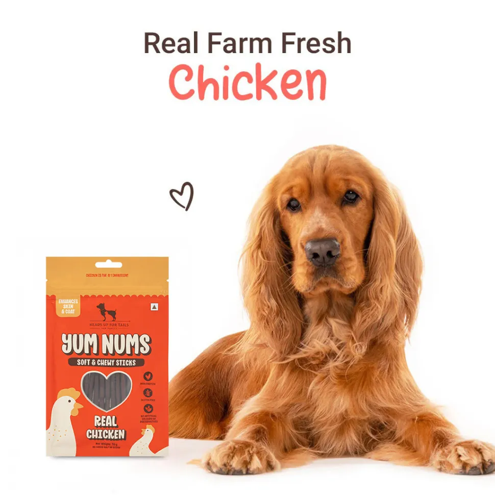 HUFT Yum Nums Soft & Chewy Sticks Real Chicken Treat For Dogs